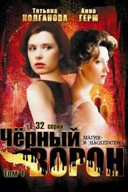 Poster da série Black Raven