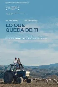 Poster do filme Lo que queda de ti