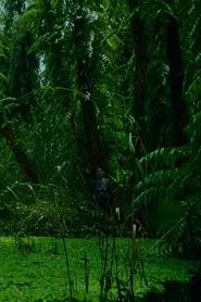 The Eternal Springtime movie poster