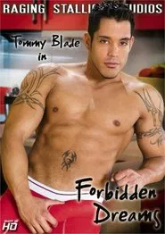 Forbidden Dreams movie poster