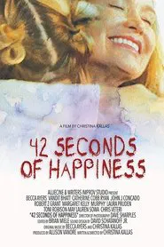 Poster do filme 42 Seconds Of Happiness