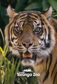 Inside Taronga Zoo tv show poster