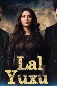 Silent Dream tv show poster