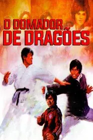 Poster do filme O Domador de Dragões