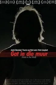 Hole In The Wall movie poster