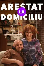 Arestat la domiciliu tv show poster