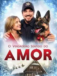 Poster do filme O Verdadeiro Sentido do Amor