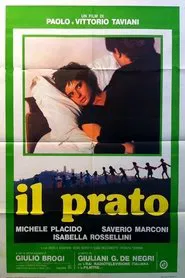 The Meadow movie poster