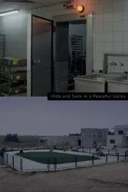 Hide and Seek in a Peaceful Valley movie poster