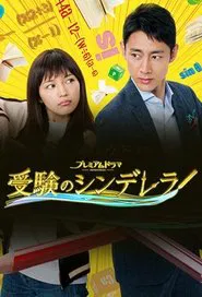 Cinderella Formula tv show poster