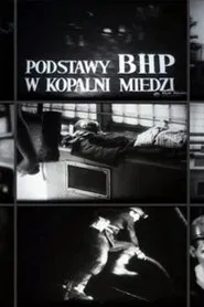 The Principles of Safety and Hygiene in a Copper Mine movie poster