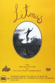 Litmus: A Surfing Odyssey movie poster