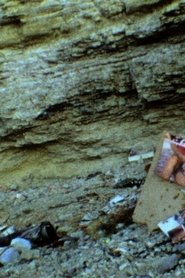 Those Inescapable Slivers of Celluloid movie poster