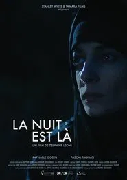 Poster do filme Here Comes the Night