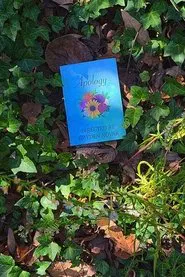 Apology movie poster