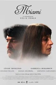 Miami movie poster