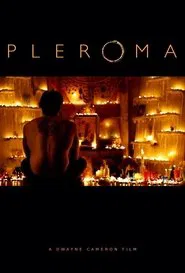 Pleroma movie poster
