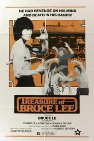 Poster do filme Treasure of Bruce Le