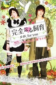 Perfect Education: A Maid for You movie poster