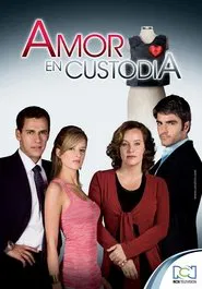 Amor en custodia tv show poster