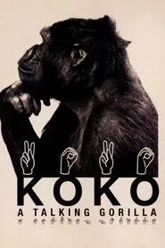 Koko: A Talking Gorilla movie poster