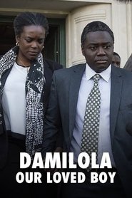 Poster do filme Damilola, Our Loved Boy