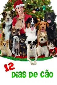 Poster do filme 12 Dias de Cão