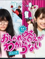 I Don't Know the Fashionable Answer tv show poster