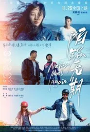 Never Meet Again movie poster