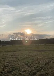 scenes of life movie poster