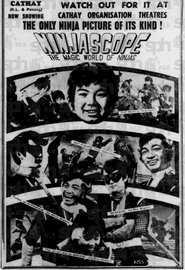 Ninjascope: The Magic World of Ninjas movie poster