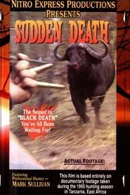 Sudden Death movie poster