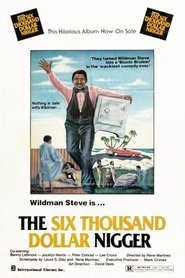 The Six Thousand Dollar Nigger movie poster