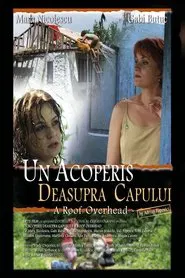 A Roof Overhead movie poster