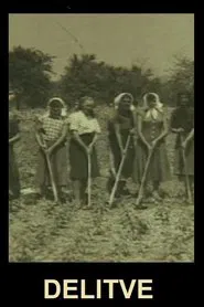 Divisions movie poster