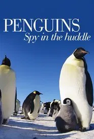 Poster da série Penguins: Spy in the Huddle