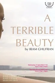 A Terrible Beauty movie poster