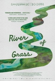 River of Grass movie poster