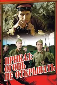 The Order: Do Not Open Fire movie poster