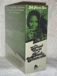 Ajita Wilson: An Elusive Icon movie poster