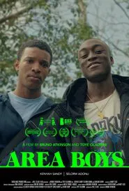 Area Boys movie poster