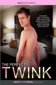 The Perfect Twink movie poster