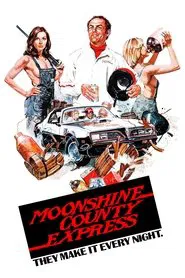 Moonshine County Express movie poster