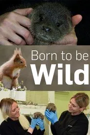 Born to Be Wild tv show poster
