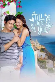 Till I Met You tv show poster