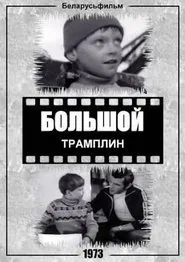 Poster do filme The Large Trampoline