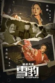 Snow Leopard Secret War movie poster