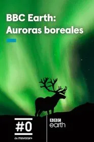 Gordon's Northern Lights Adventure movie poster