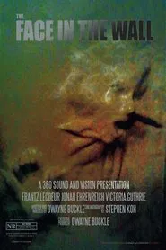 The Face in the Wall movie poster