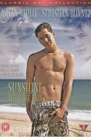 Sunshine After the Rain movie poster